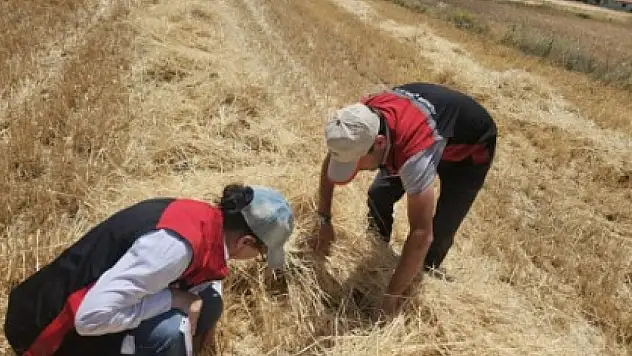 Tarım Müdürlüğü ekipleri sahada