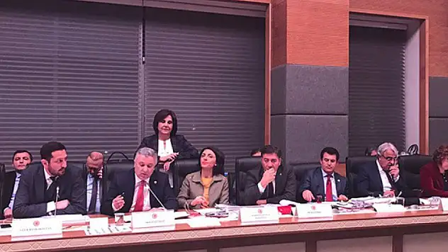 "Tek kelimeyle kandırılma Anayasası"