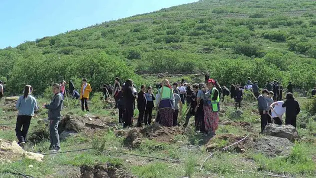 Öğrenciler 280 fidanı toprakla buluşturdu!