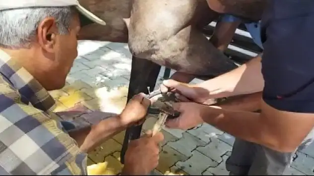 Teknolojiye yenildi!