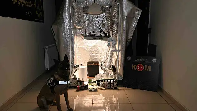 Devlet Hastanesi'nde rüşvet skandalı: 20 Gözaltı