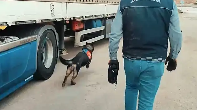 TIR'ın gizli bölmelerinden bakın ne çıktı