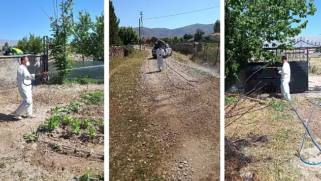 Tomarza Belediyesi, keneyle mücadeleye devam ediyor