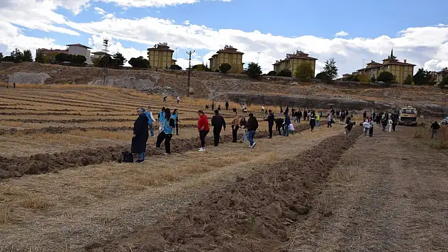 Tomarza'da 'Hatıra Ormanı' oluşturuluyor