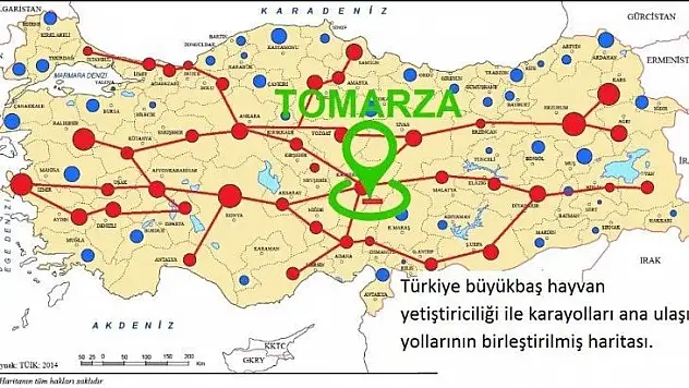 Tomarza için Canlı Hayvan Pazarı Projesi