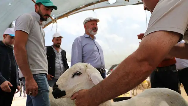 'Türkiye'de sayılı belediyelerden biriyiz'