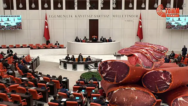 Türkiye'nin 46. gururu TBMM gündeminde