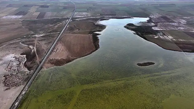 Tuzla Palas Gölü, göçmen kuşlar için tekrar cennet oldu