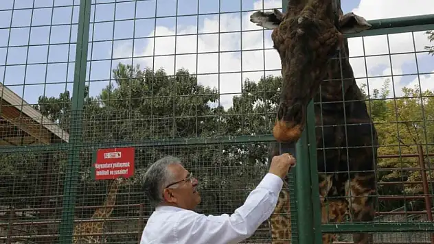 Ücretsiz giriş için son gün yarın!