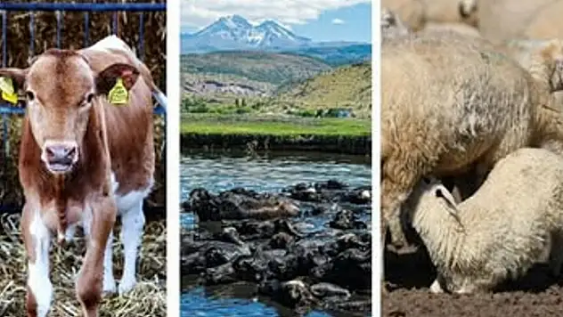 Üreticiler dikkat: 5 gün süreyle askıya çıktı