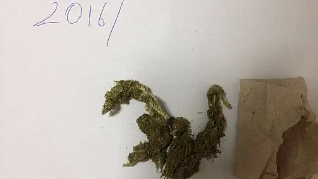 Uyuşturucu operasyonunda 1 tutuklama