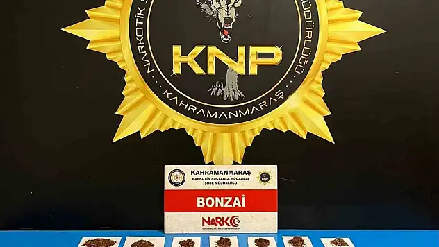 Zehir tacirlerine darbe