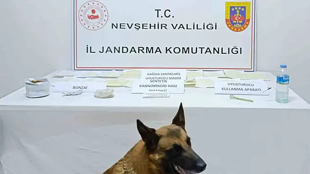 Gülşehir'de uyuşturucu operasyonu