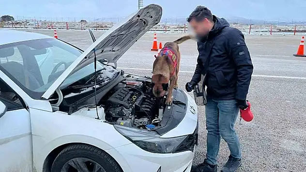 Zehir tacirleri, narkotik köpeğinden kaçamadı