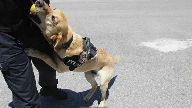 132 kilo uyuşturucu madde yakaladı!