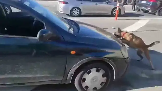 Uyuşturucuyu bakın nereye sakladılar?