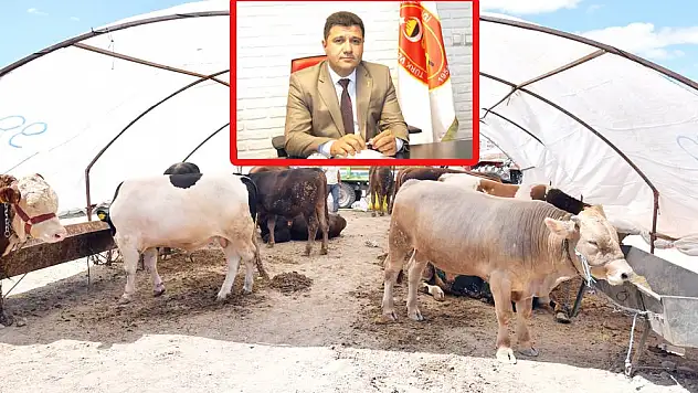  Uzmanından kurbanlık uyarıları, Kurbanlıklar arasında ithal yok!