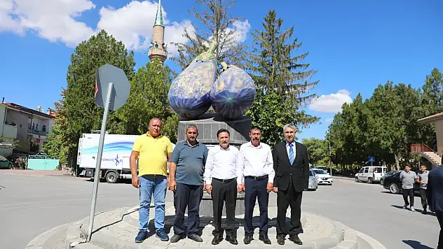 Vali Çiçek patlıcan diyarında…