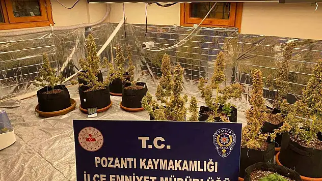 Lüks villada uyuşturucu yetiştirdiler!