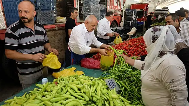 Yahyalı'da üreticileri sevindirecek proje! Başkan Öztürk yerinde inceledi