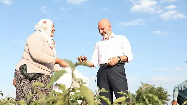 Bakın hafta sonu nereye davetlisiniz?