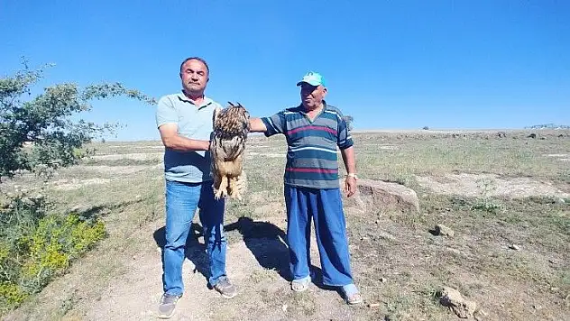 Puhu tedavi altına alındı