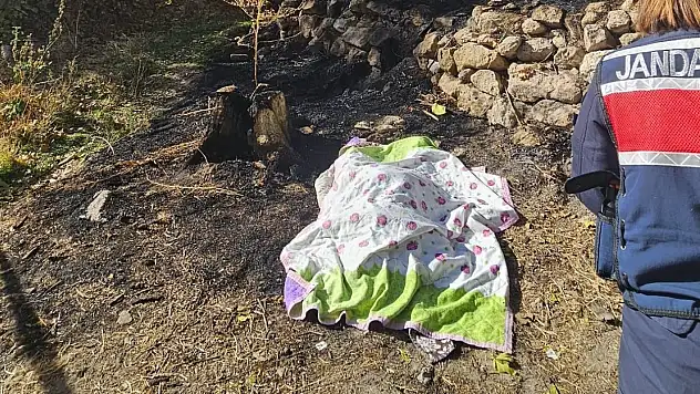 Yaşlı kadın bahçesindeki otları yakarken can verdi!