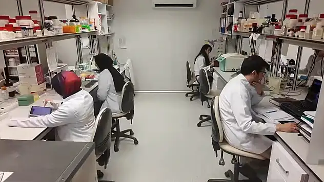 Yaz aylarında Kayserililerin kâbusu olmuştu o hastalıkla ilgili flaş gelişme