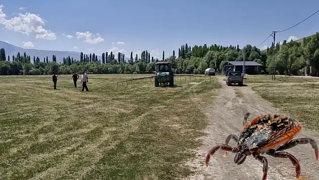 Yaz aylarının korkulu rüyası! Kayseri'de ekipler sahada