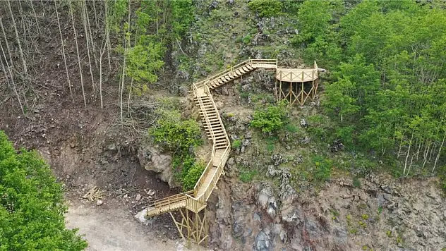 Yeniden Refah Partisi'nden Ortaseki Ormanları için açıklama: Yol, tuvalet, dinlenme alanı yok