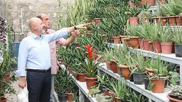 Başkan dan aromatik inceleme...