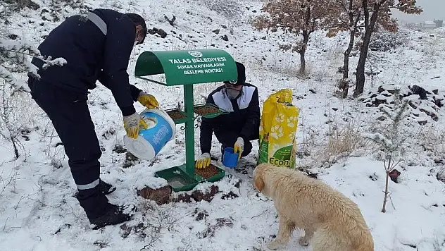 Yerleşim alanlarına inmesinler diye