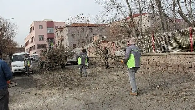 Yeşil Bir İncesu İçin Çalışmalar Devam Ediyor