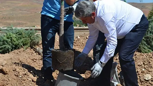 Yeşil Bünyan için ağaçlandırma çalışmaları devam ediyor
