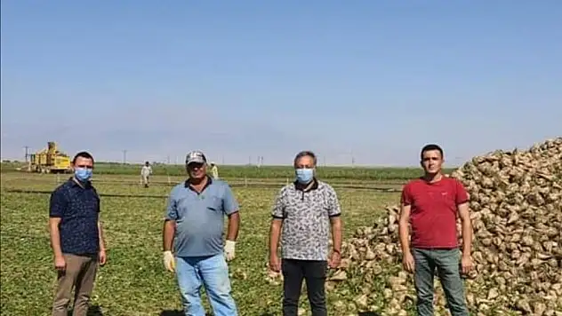 Yeşilhisar'da pancar hasadı başladı
