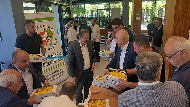 Yeşilhisar kayısısına yoğun ilgi