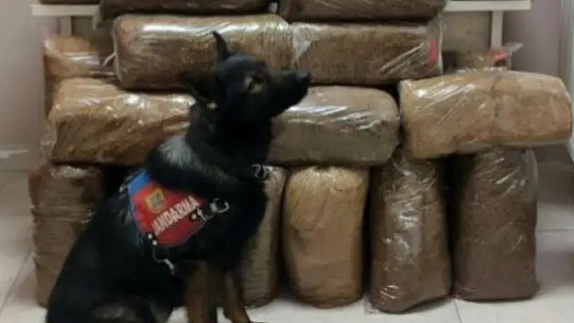 Yol kontrolünde 228 kilogram bakın ne ele geçirildi