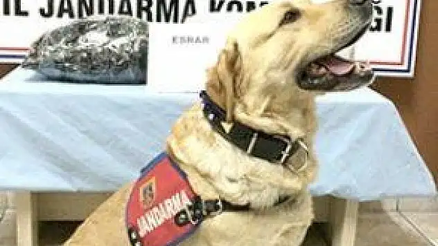 YOLCU TRENİNDE ESRAR ELE GEÇİRİLDİ