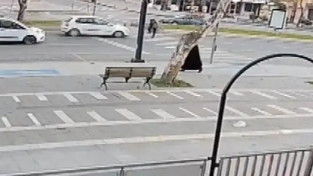 Yaya geçidinde korkunç kaza