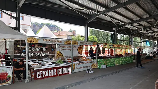 Yöresel tatlar, alışveriş ve eğlence… Kayseri'deki festival bugün bitiyor