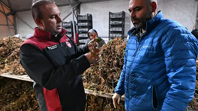 Yüzde 18'i Kayseri'de üretiliyor! Etiyopya'ya gönderiliyor