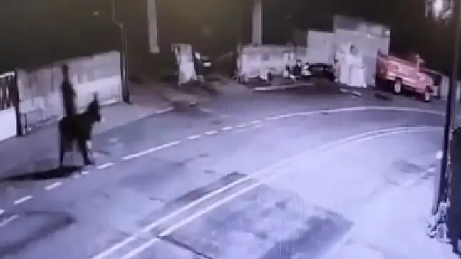 Forkliftle sarraf hırsızlığında 'eşek' detayı!