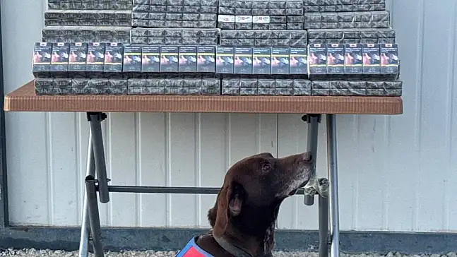 Mardin'den Kayseri'ye gelen TIR'da  binlerce paket ele geçirildi