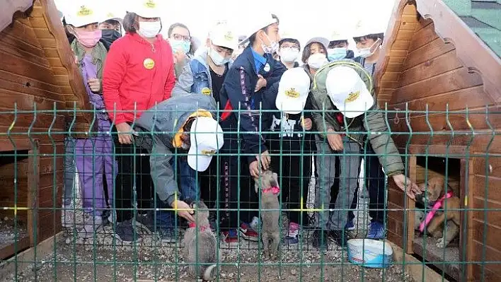 Başkan Yalçın: Hayvan beslemek merhamet duygunuzu geliştirir