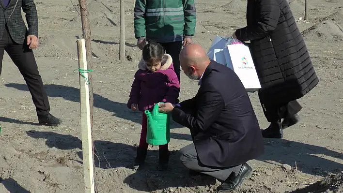 100. yıl bebekleri için 100 fidan