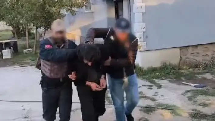161 DEAŞ üyesi yakalandı