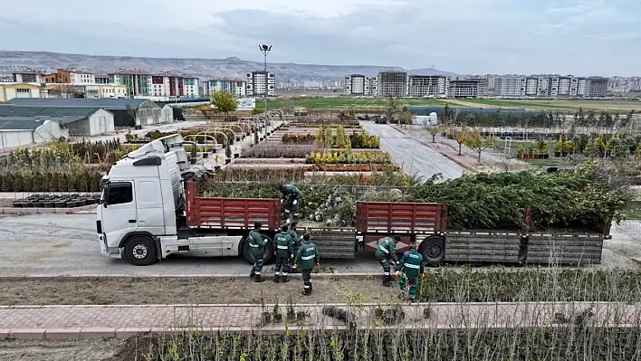 2026 için hazırlık başladı: Rekor kıracak