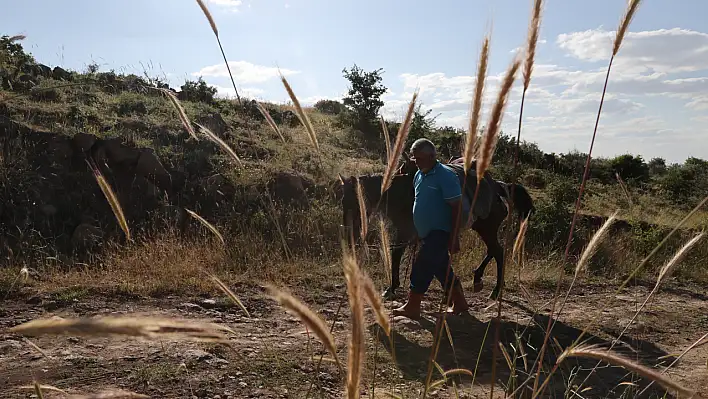 38 yıllık çiftçi, atıyla toprağa hayat veriyor