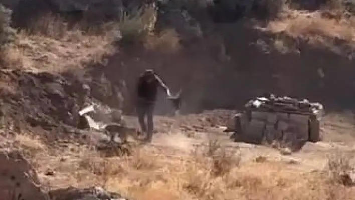 4 aylık köpeğe şiddet uygulayan şahısla ilgili Valilik harekete geçti!