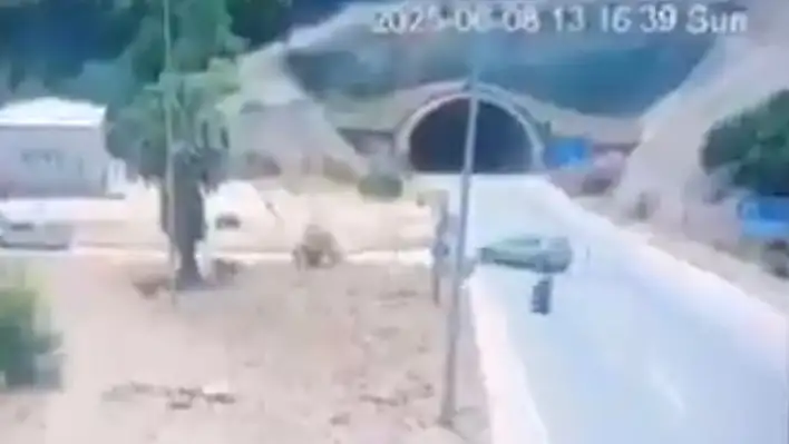 6 kişi hayatını kaybetti!